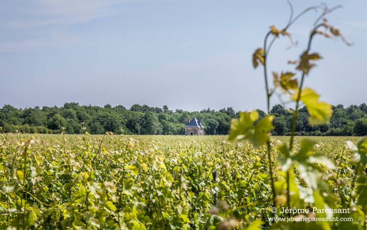 Respect du terroir